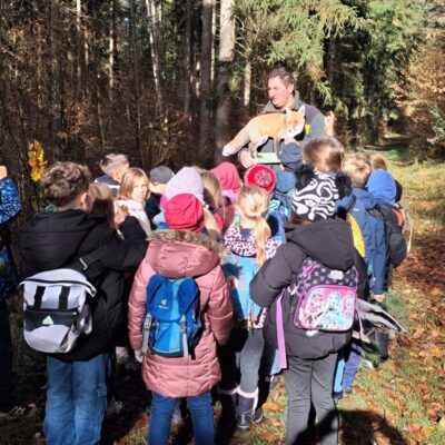 Waldlerngang2-1024x768