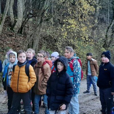 Waldlerngang5-1024x472