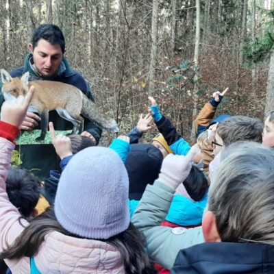 Waldlerngang6-1024x472