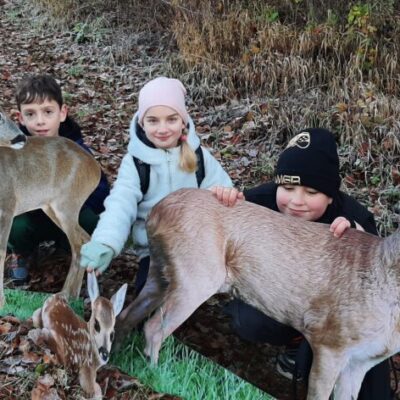 Waldlerngang7-1024x472